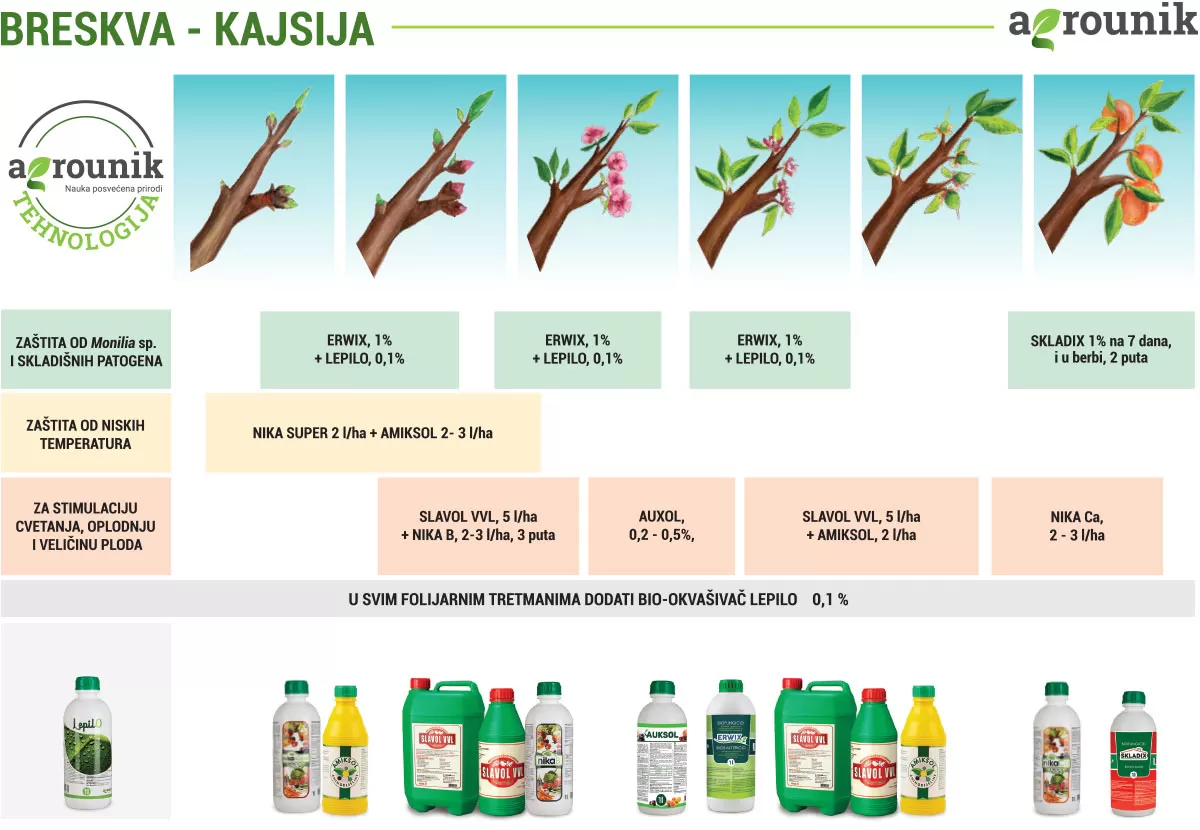 agrounik-tehnologija-breskva-proces