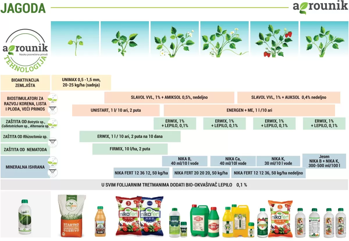 agrounik-tehnologija-jagoda-proces