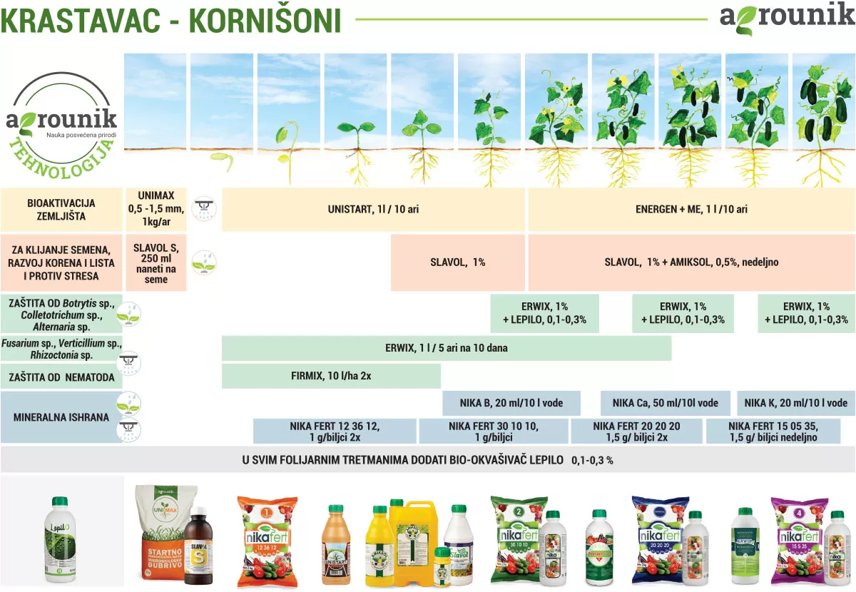 agrounik-tehnologija-krastavac-proces