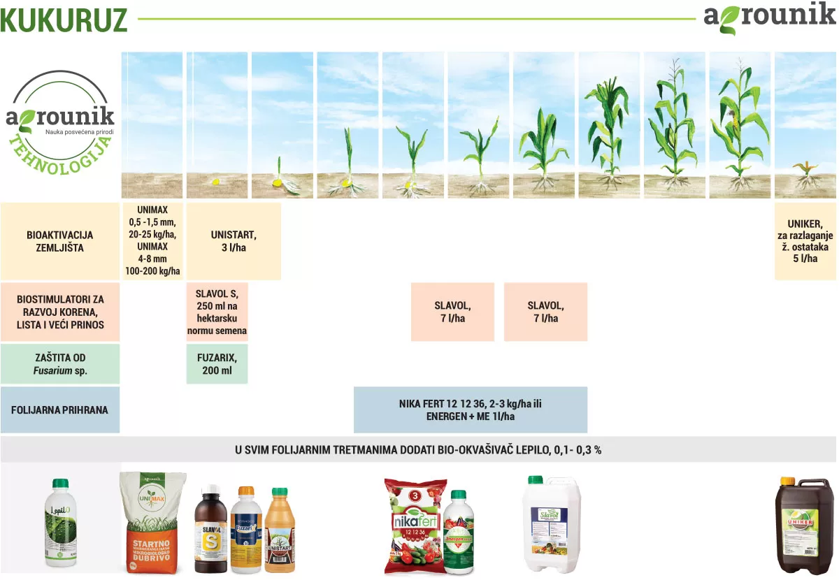 agrounik-tehnologija-kukuruz-proces
