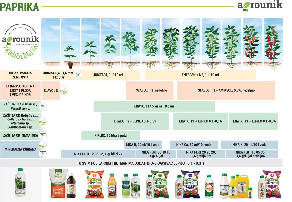 agrounik-tehnologija-paprika-proces