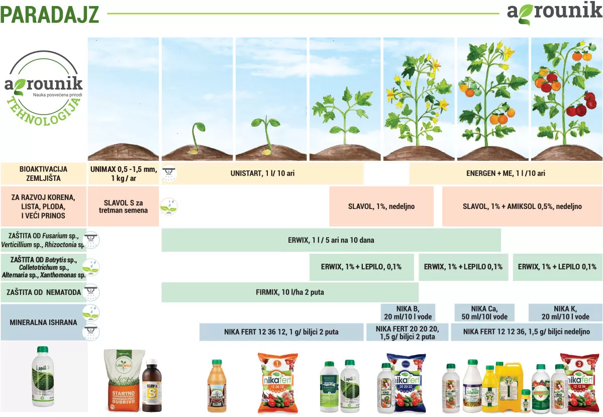 agrounik-tehnologija-paradajz-proces