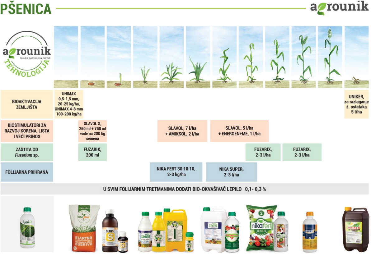 agrounik-tehnologija-psenica-proces