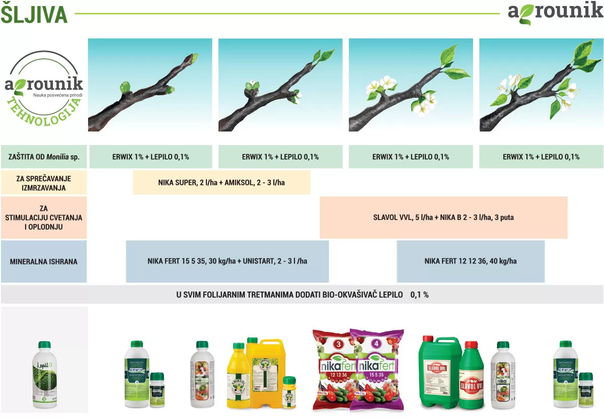 agrounik-tehnologija-sljiva-proces