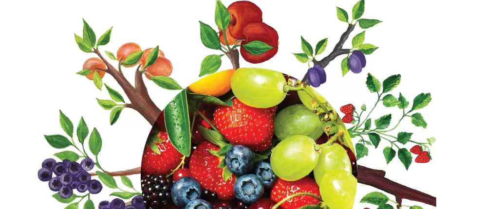 agrounik-tehnologija-vocarstvo