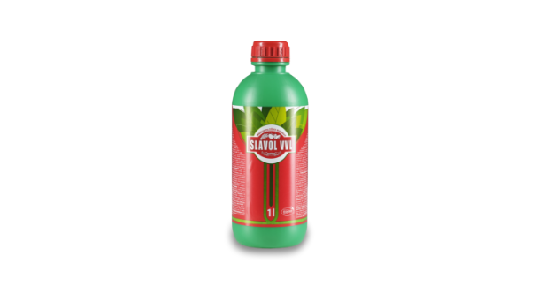 slavol-vvl-nova-1