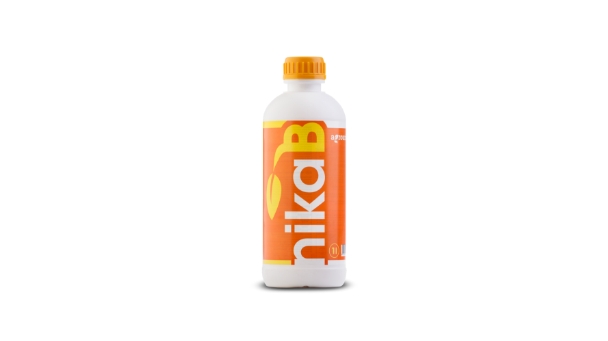 nika-b-1l-slide